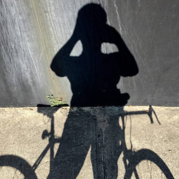 Meet your Posher, David - Picture 1 of 1